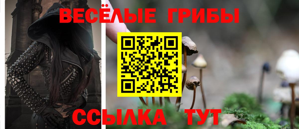 Хасавюрт  Вход с VPN  Где продают наркотики?  МЕТ  Alpha-PVP СОЛЬ   Гашиш  МАРИХУАНА  МЕФ   MDMA 