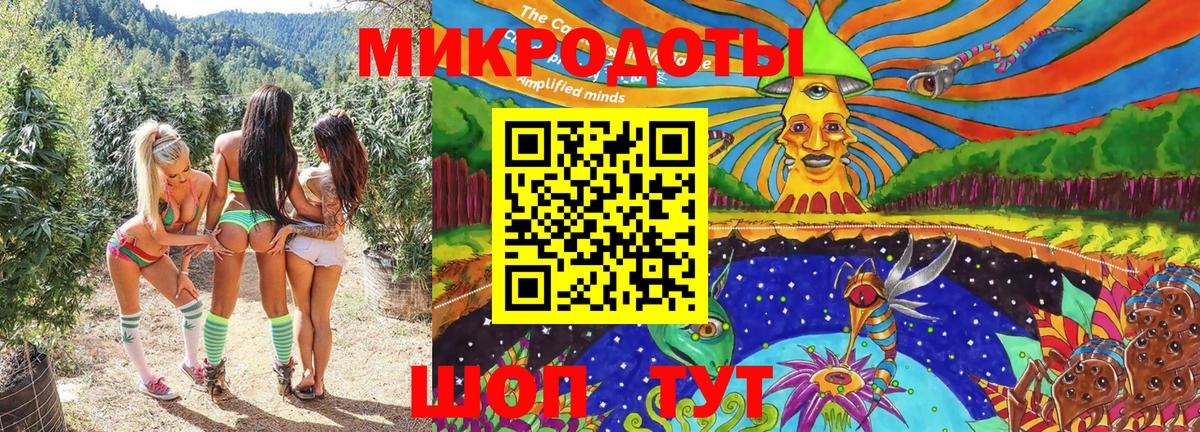 Псилоцибиновые грибы мухоморы Хасавюрт